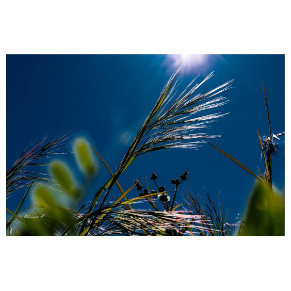 PHOTO84, CLUB, 84 , LUBERON